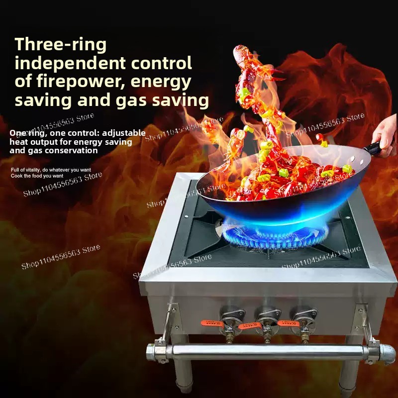 New Commercial-Grade Gas Stove - Range Commercial Kitchen avis et prix