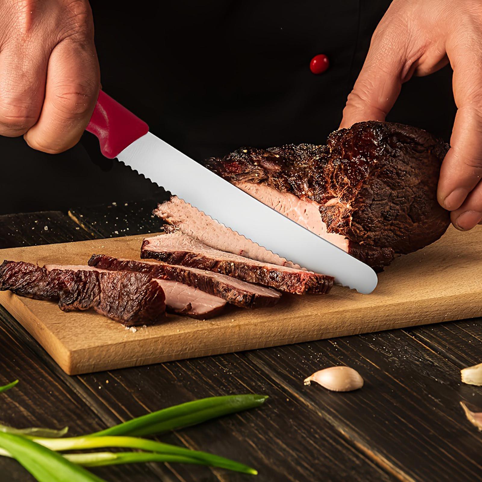 Serrated Steak Cutter 5 Pieces - Commercial Kitchen Table avis et prix