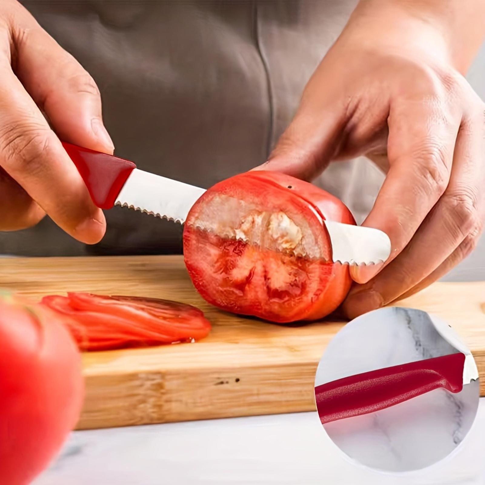 Serrated Steak Cutter 5 Pieces - Commercial Kitchen Table avis et prix