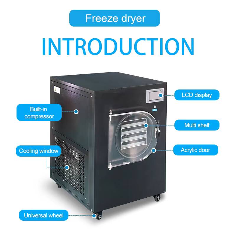 -80°C 6kg/batch Manifold Labor - Vacuum Sealer avis et prix