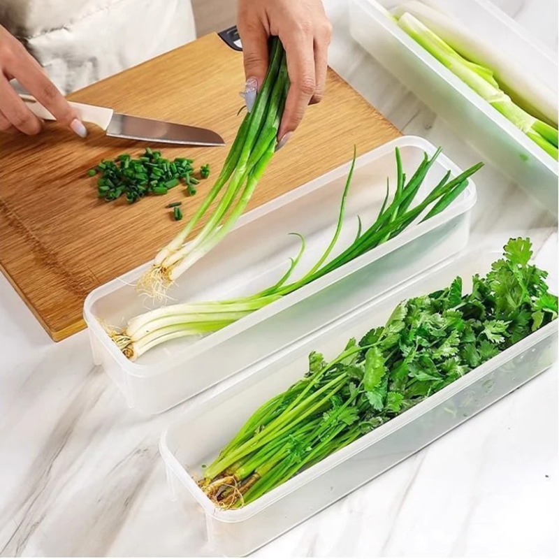 1/2/4Pcs Green Onion Fresh-kee - Commercial Kitchen Utensil Organizer avis et prix